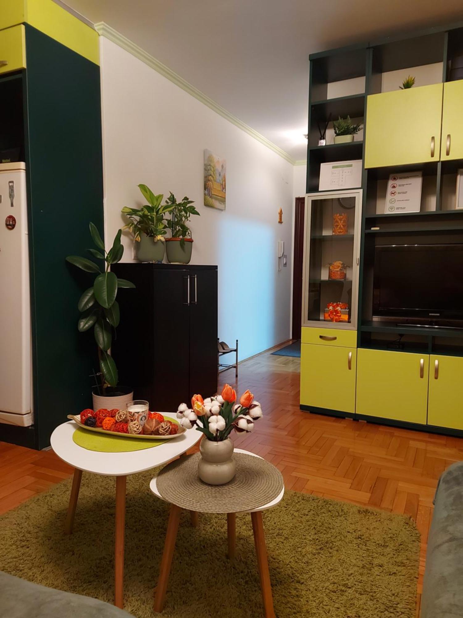 Stancicmilena Apartamento Požarevac Exterior foto